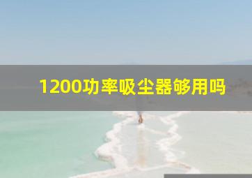 1200功率吸尘器够用吗