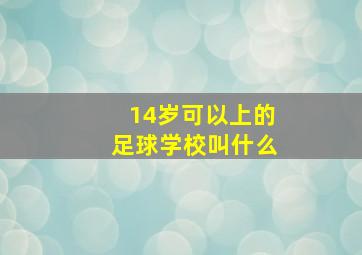 14岁可以上的足球学校叫什么