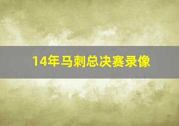 14年马刺总决赛录像