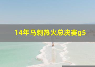 14年马刺热火总决赛g5