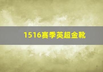 1516赛季英超金靴