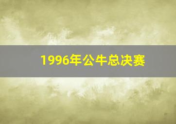 1996年公牛总决赛