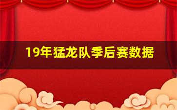 19年猛龙队季后赛数据