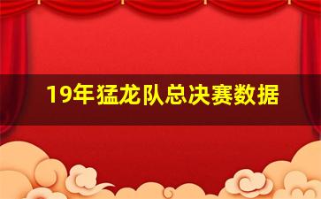 19年猛龙队总决赛数据