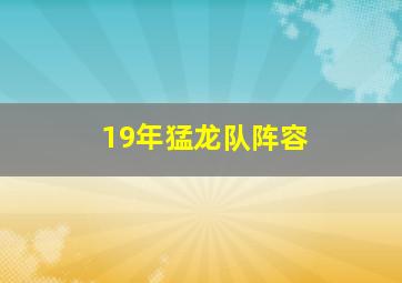 19年猛龙队阵容