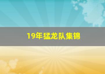 19年猛龙队集锦