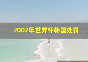 2002年世界杯韩国处罚