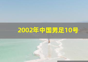 2002年中国男足10号