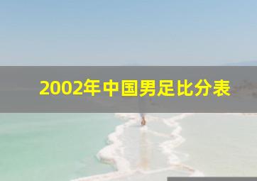 2002年中国男足比分表