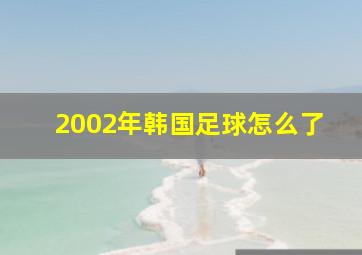 2002年韩国足球怎么了