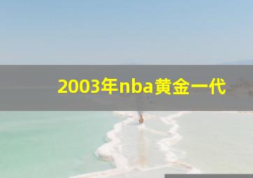 2003年nba黄金一代