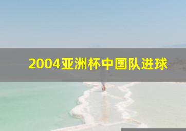 2004亚洲杯中国队进球