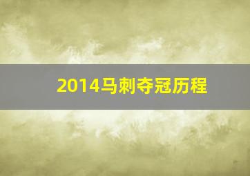 2014马刺夺冠历程