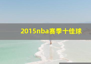 2015nba赛季十佳球