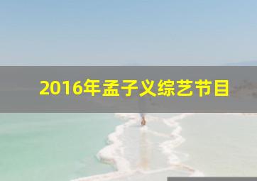 2016年孟子义综艺节目