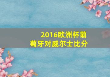 2016欧洲杯葡萄牙对威尔士比分