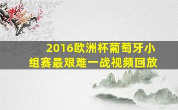 2016欧洲杯葡萄牙小组赛最艰难一战视频回放