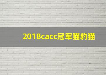 2018cacc冠军猫豹猫