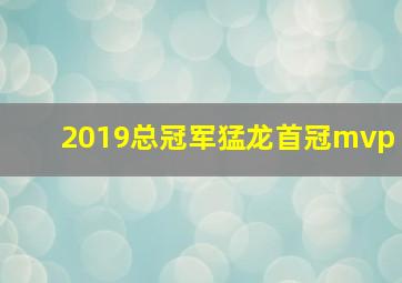 2019总冠军猛龙首冠mvp