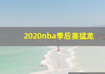 2020nba季后赛猛龙