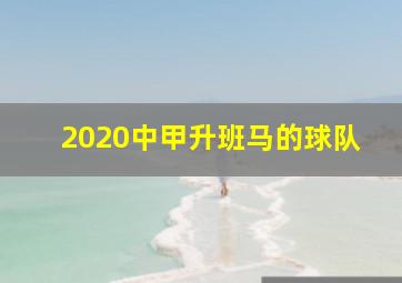 2020中甲升班马的球队