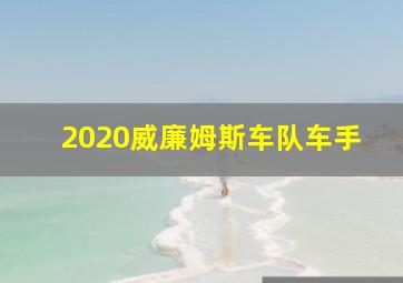 2020威廉姆斯车队车手