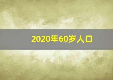 2020年60岁人口