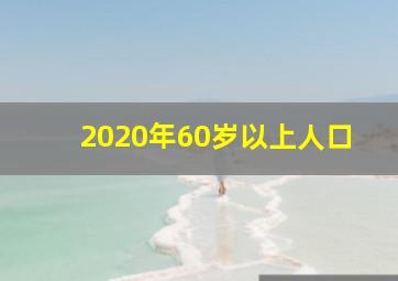 2020年60岁以上人口