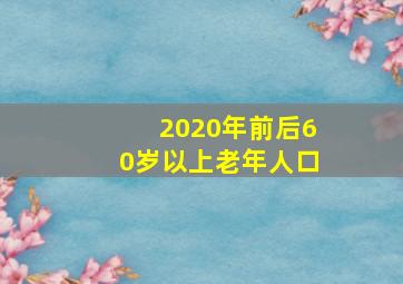 2020年前后60岁以上老年人口