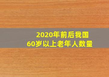 2020年前后我国60岁以上老年人数量