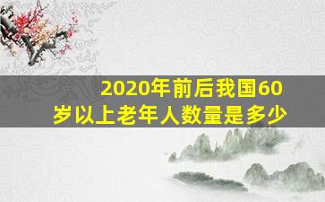 2020年前后我国60岁以上老年人数量是多少