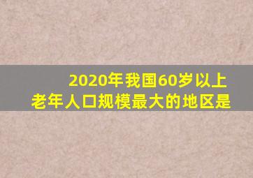 2020年我国60岁以上老年人口规模最大的地区是