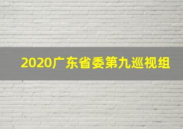 2020广东省委第九巡视组