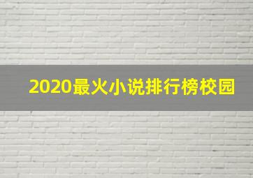 2020最火小说排行榜校园