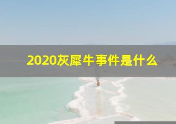 2020灰犀牛事件是什么