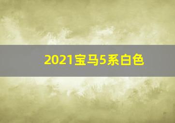 2021宝马5系白色