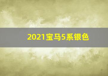 2021宝马5系银色