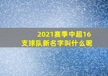 2021赛季中超16支球队新名字叫什么呢