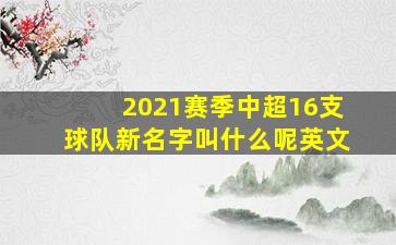 2021赛季中超16支球队新名字叫什么呢英文