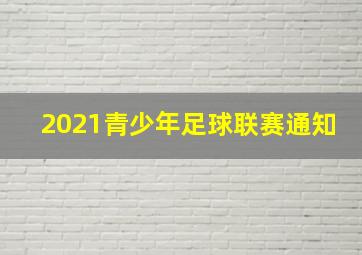 2021青少年足球联赛通知