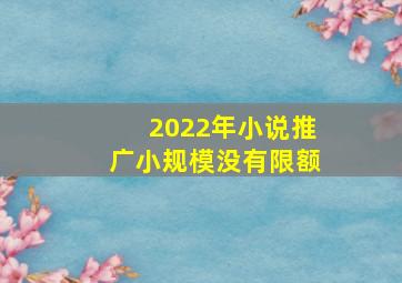 2022年小说推广小规模没有限额