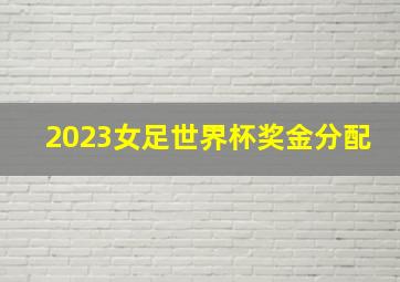 2023女足世界杯奖金分配