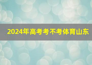 2024年高考考不考体育山东