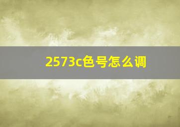 2573c色号怎么调