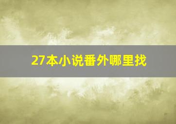 27本小说番外哪里找