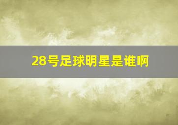 28号足球明星是谁啊