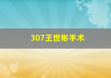 307王世彬手术