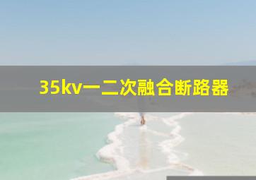 35kv一二次融合断路器