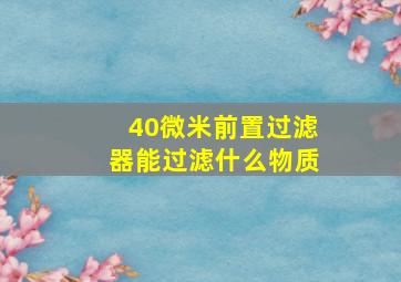 40微米前置过滤器能过滤什么物质