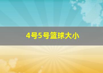 4号5号篮球大小